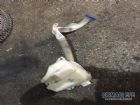 Citroen C3 Cam Yıkama Suyu Deposu 6431C8 6431.C8