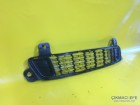 Citroen Celysee Tampon ızgarası 9676958080