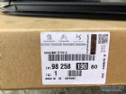Peugeot 2008 P24e Sağ Arka Kapı Çerçeve Fitili 9825819080