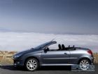 Peugeot 206 Cc Çıkma Yedek Parçaları