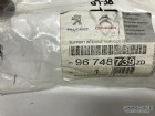 Peugeot 301 Cam Açma Düğmesi Çerçevesi 96748739ZD