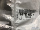 Peugeot 308 T9 Ön Kapı Direk Lastiği Sol 9678032680