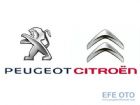 Peugeot Çıkma Parça